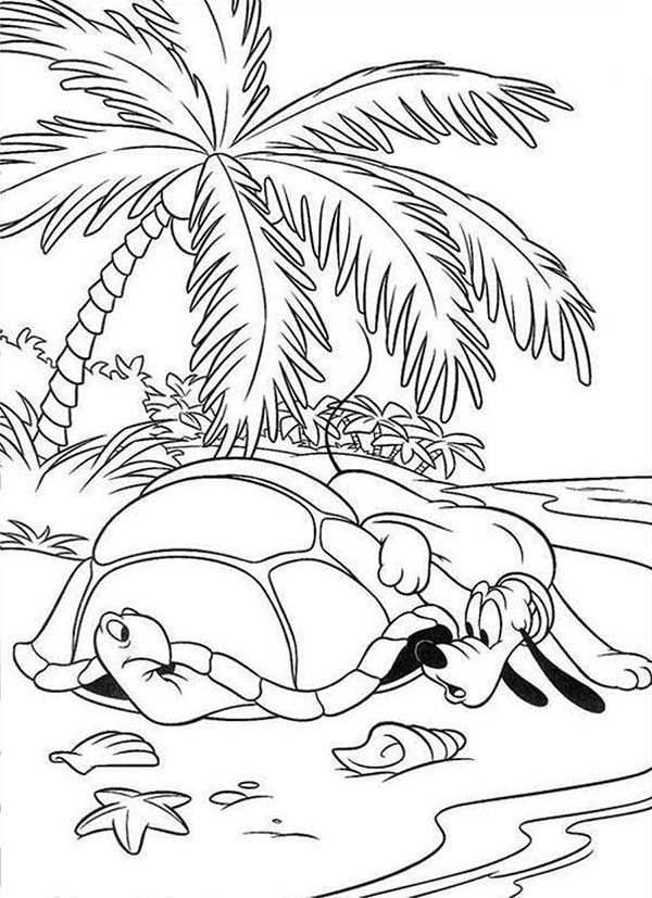 Mickey Mouse Safari at Galapagos Coloring Pages | Bulk Color
