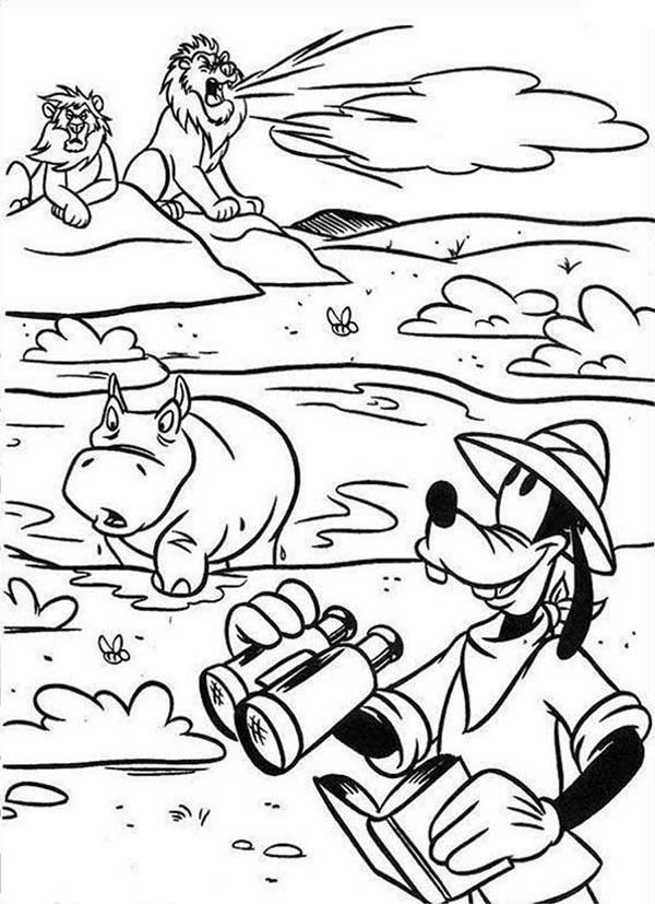 Mickey Mouse Safari Coloring Pages Goofy Meet a Rhino and Couple ...
