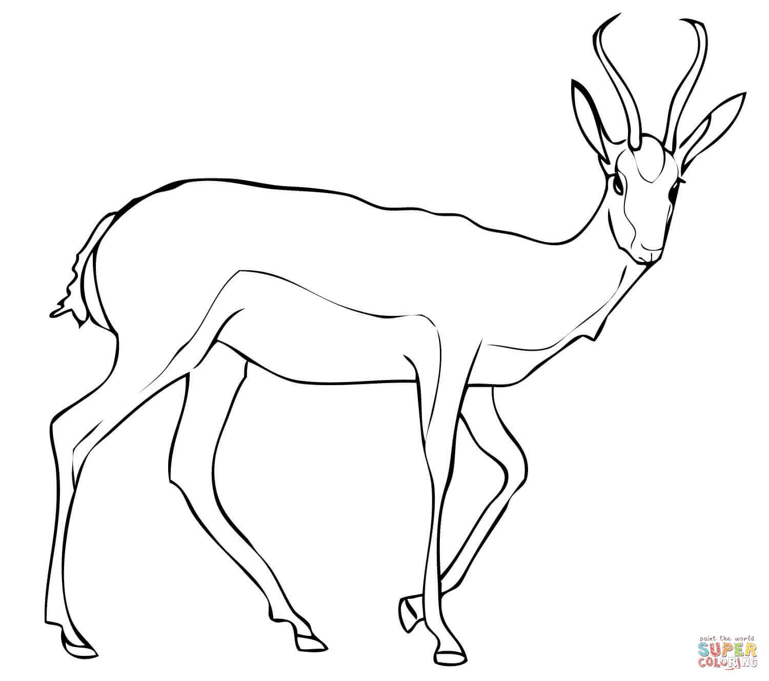 Springbok Antelope coloring page | Free Printable Coloring Pages