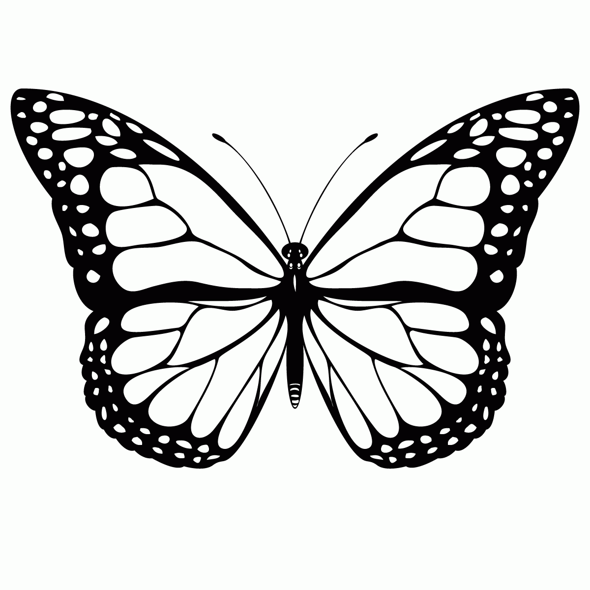 printables butterflies butterfly template