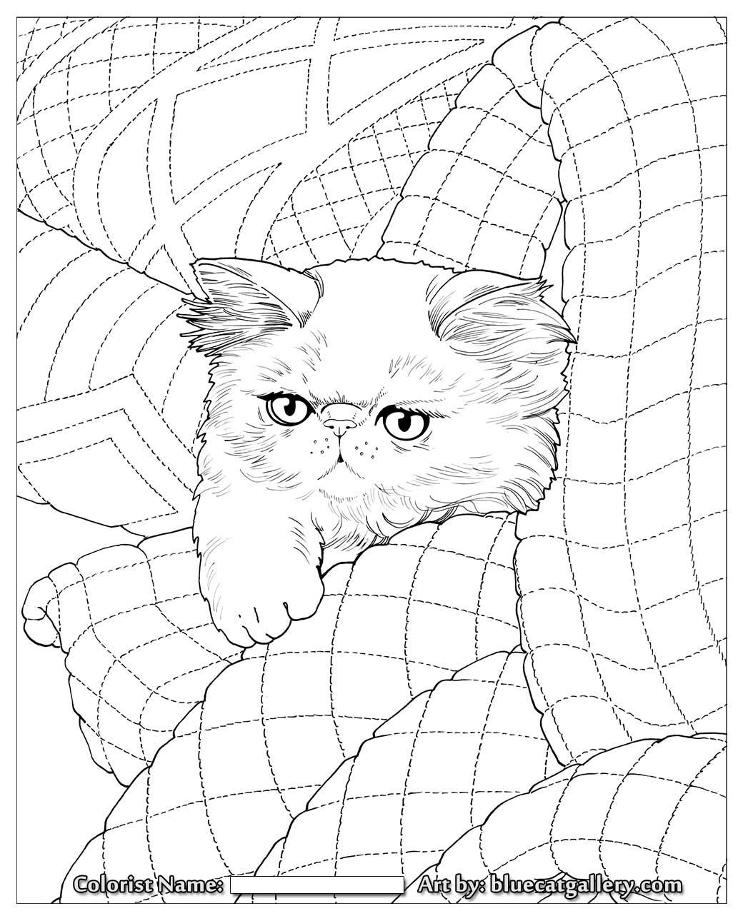 Quilt Blocks Coloring Pages to Print Inspirational Cats & Quilts ...