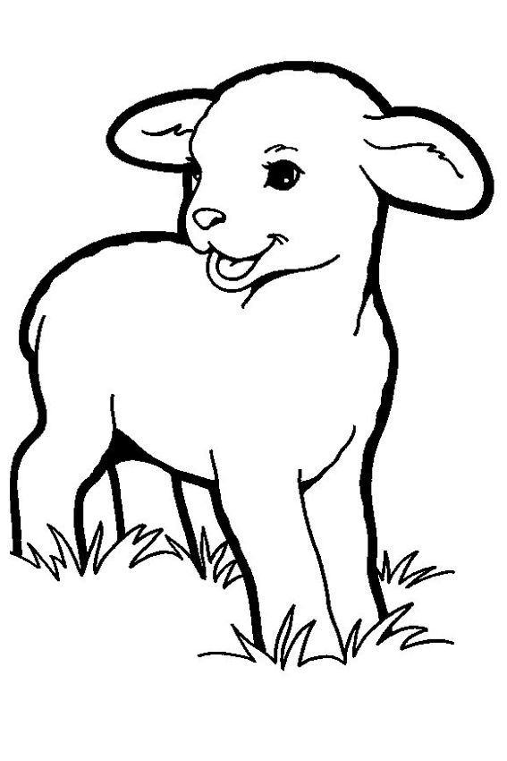 Lamb Coloring Pages | Resume Format Download Pdf | Farm ...