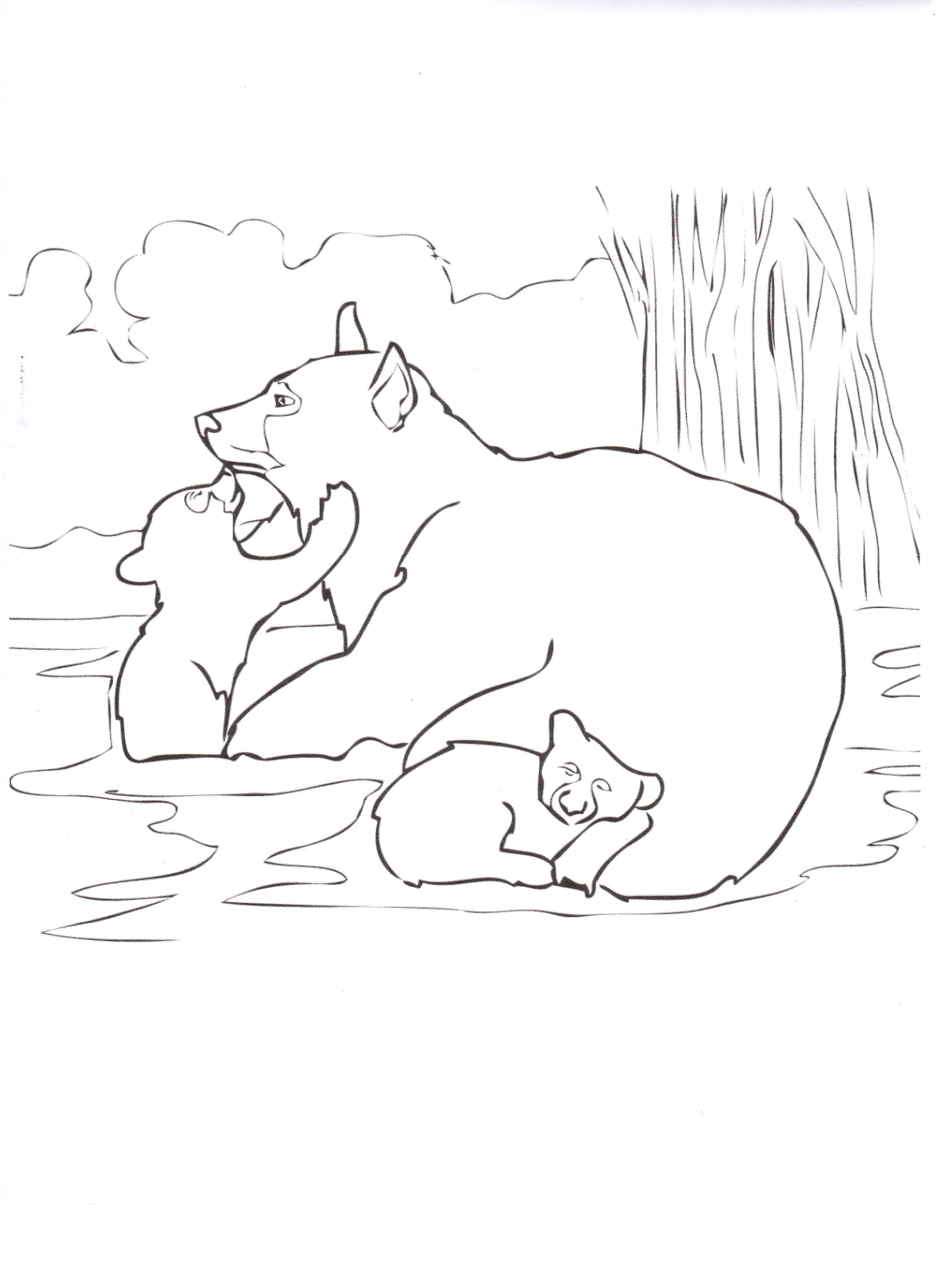 Animal coloring pages | Imagine Our Florida, Inc