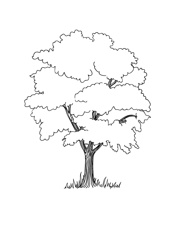 tree coloring pages | Only Coloring Pages