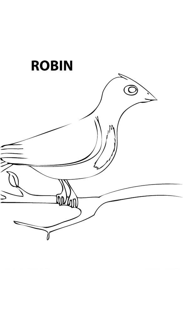 Spring Robin Coloring Page: Spring Robin Coloring Page – Kids Play ...