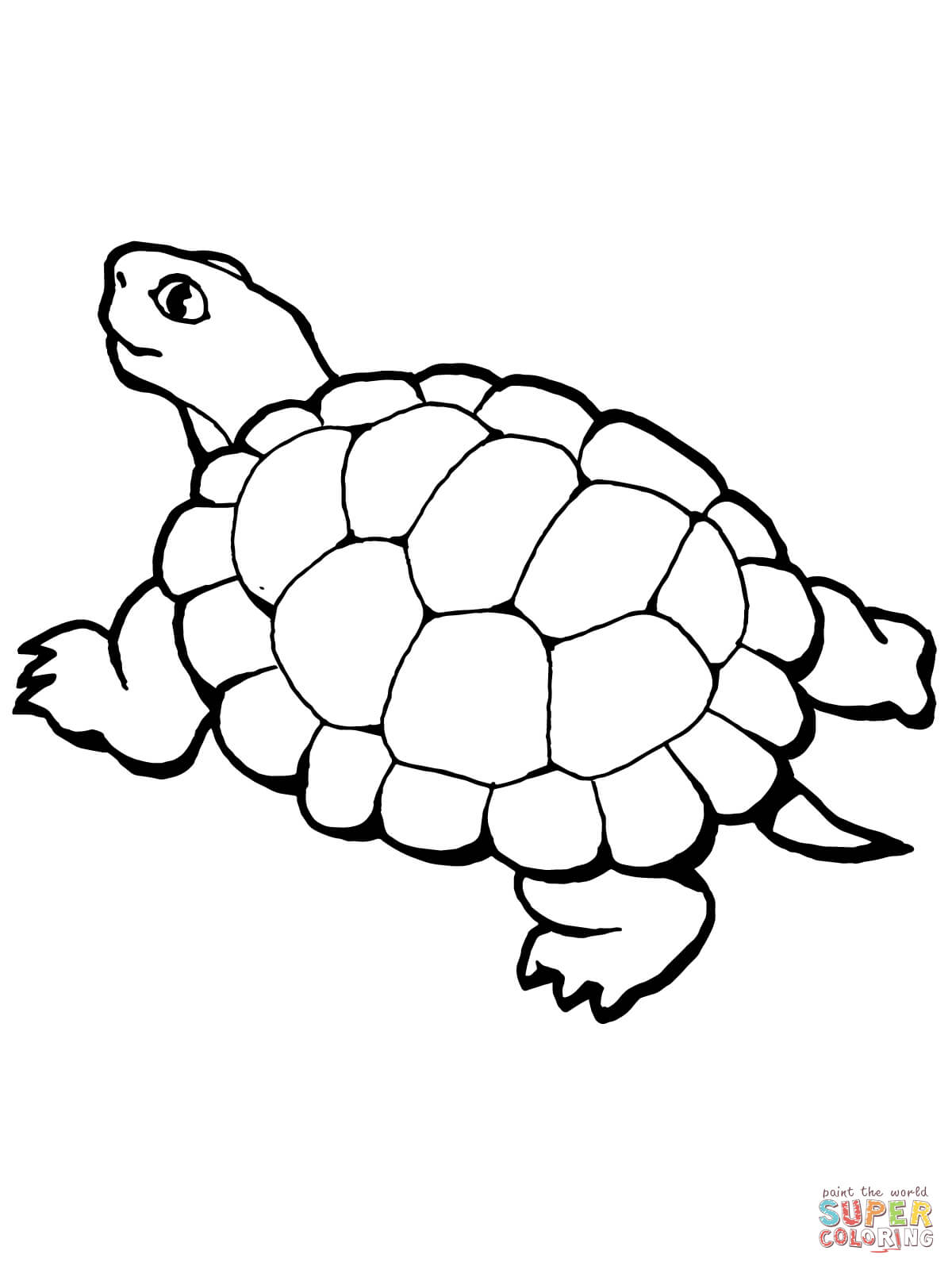 Walking Tortoise coloring page | Free Printable Coloring Pages