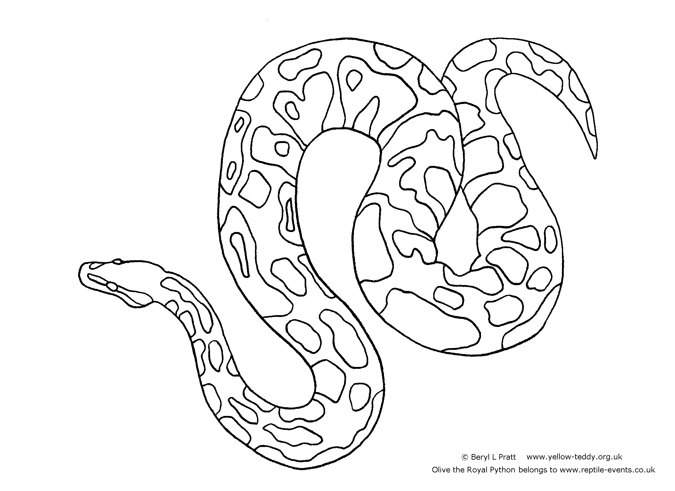 Ball Python Coloring Drawings: Ball Python Coloring Pages,