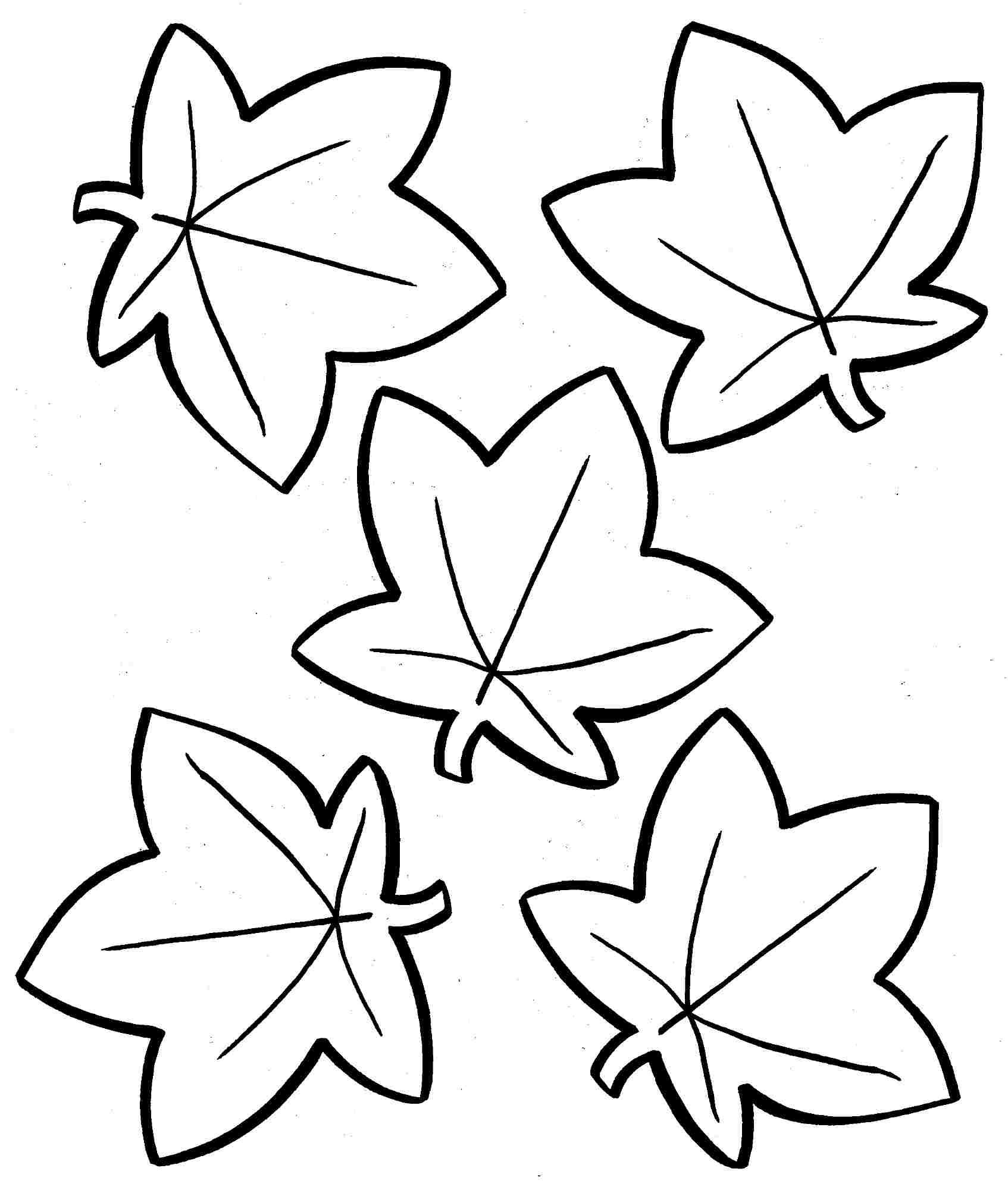 19 Free Pictures for: Fall Leaf Coloring Pages. Temoon.us