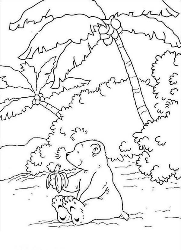 Lars the Little Polar Bear Eating Banana at Beach Coloring Pages ...