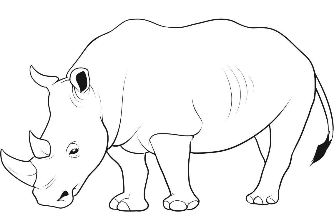 Download Free Animal Coloring Pages Rhino Animal Coloring Pages Of Coloring Home