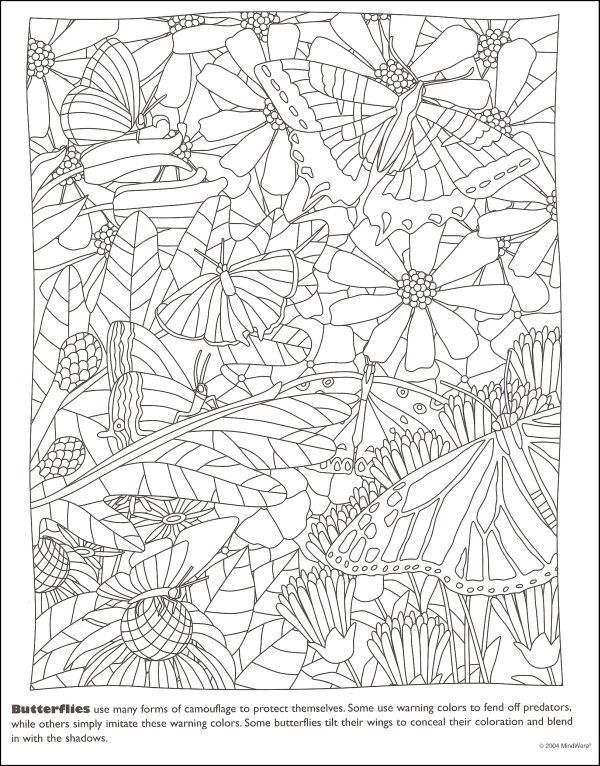 Insect coloring pages camo