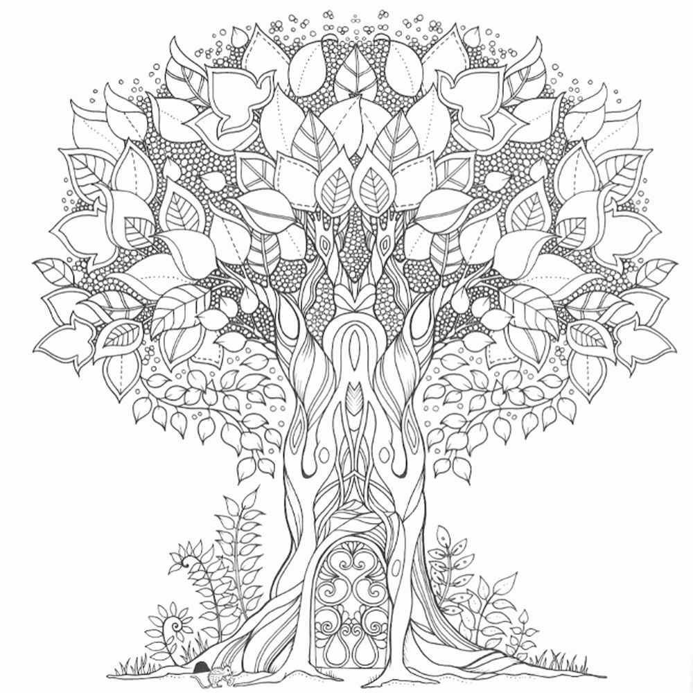 Enchanted Forest Coloring Book Lovely Enchanted Forest Colouring Book