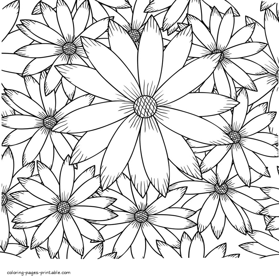 Pretty Flower Coloring Pages Adult Coloring Pages