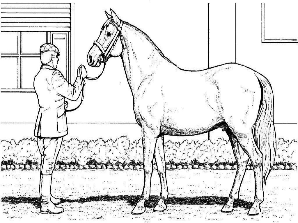 Coloring Pages Horses Heads Ribbon Print - Coloring Home