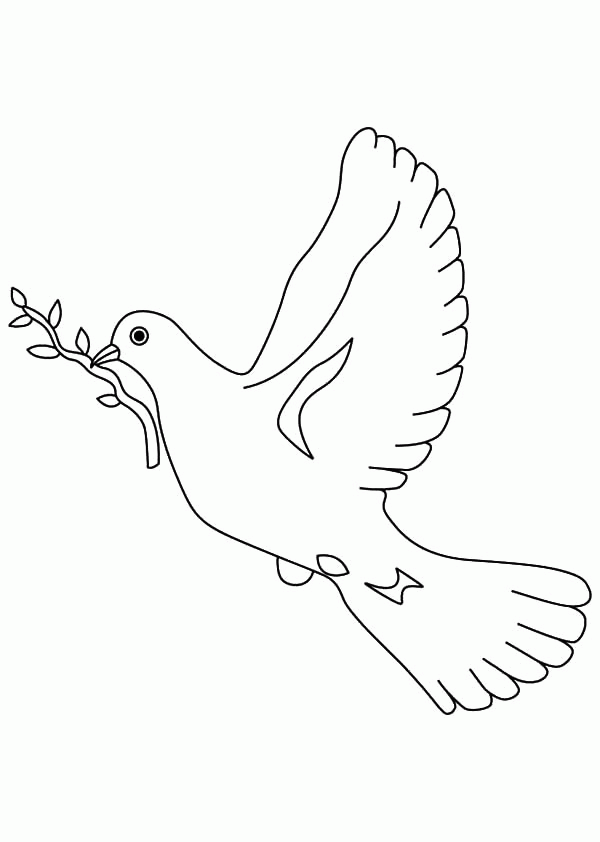 Dove Bird a Symbol of Peace Coloring Pages - Free & Printable ...