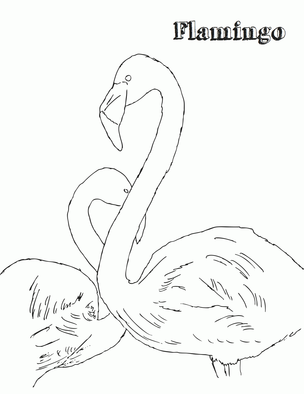 flamingo coloring page | Doodles Ave