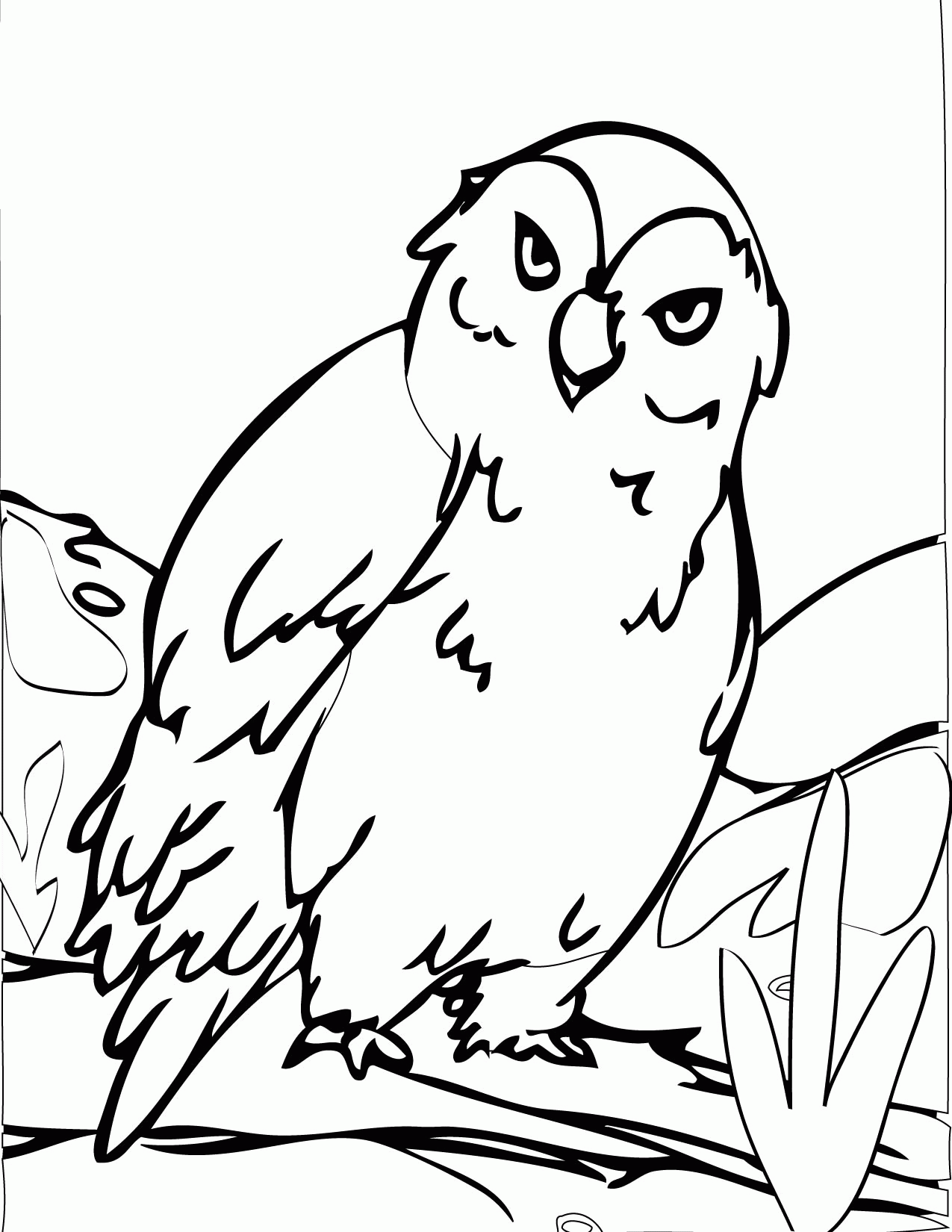 Arctic Animals Pictures Coloring Pages 5