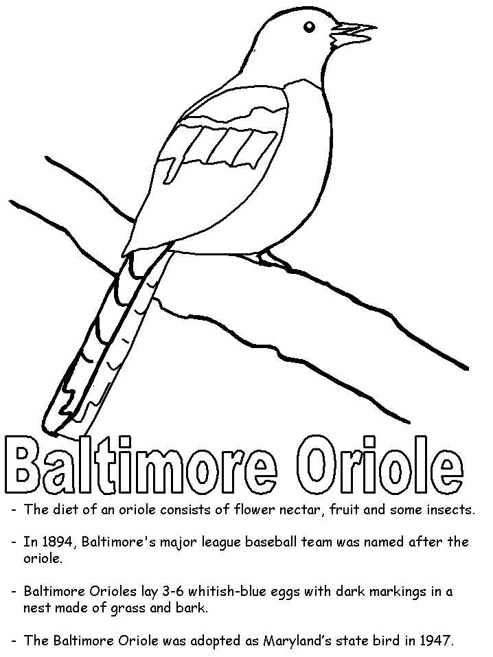 Baltimore Oriole coloring page