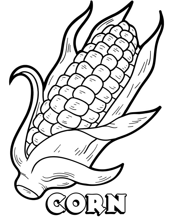 Corn On The Cob Coloring Page Luxury Corn Cob Colorin vrogue co