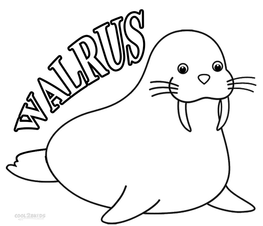 Walrus Coloring Page - Get Coloring Pages