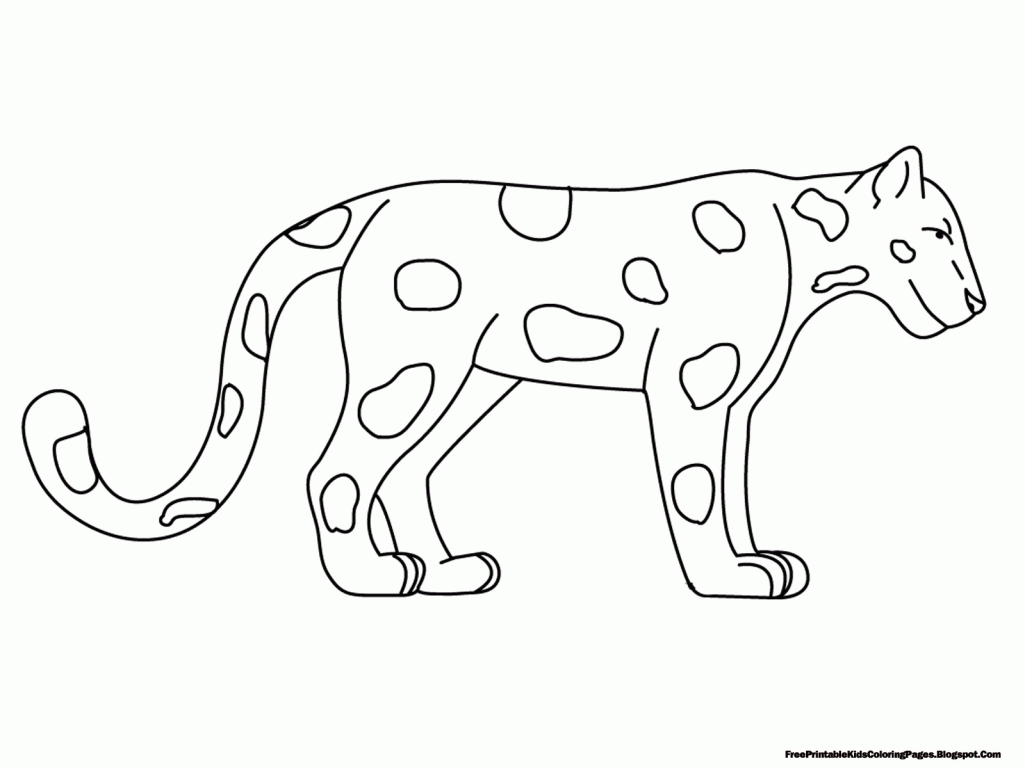 Coloring Pages Animal Classification Rainforest Animals Drawings ... -  Coloring Home