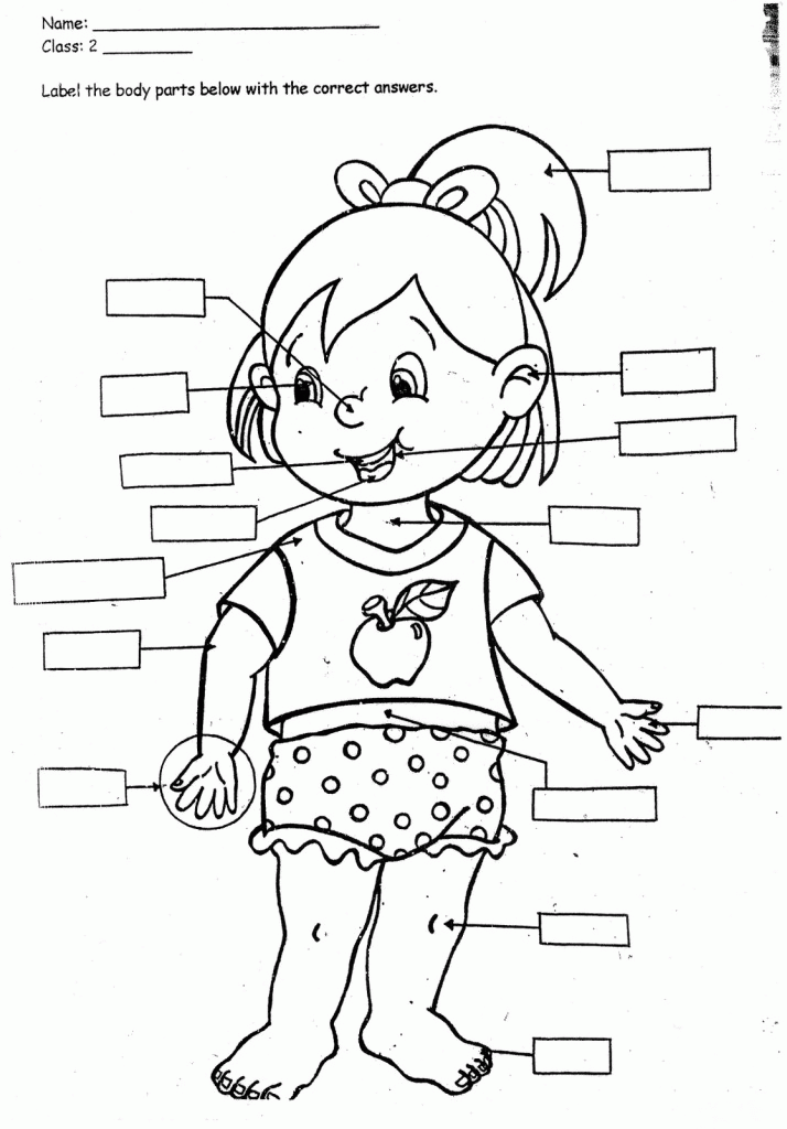 Preschoolers Coloring Pages Of The Human Body - Coloring Home