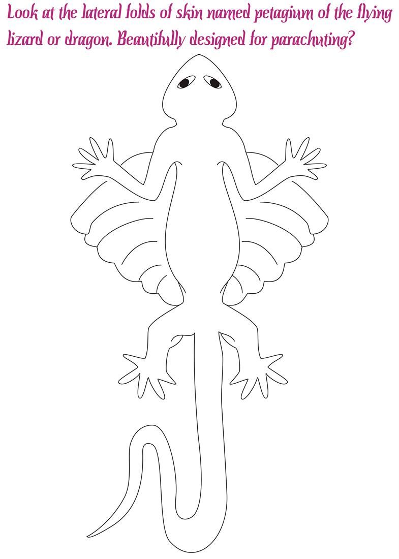 Flying Lizard/ Dragon coloring pages