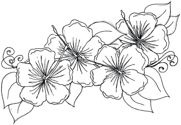 Coloring Pages : Printable Flower Coloring Pages Fallout Coloring ...