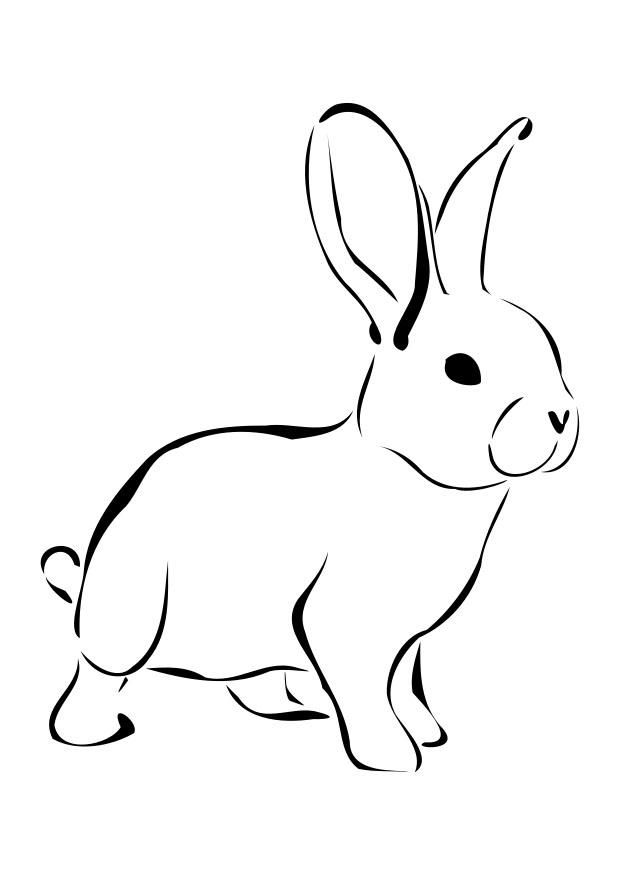 Printable Baby Rabbit Coloring Pages | Cooloring.com