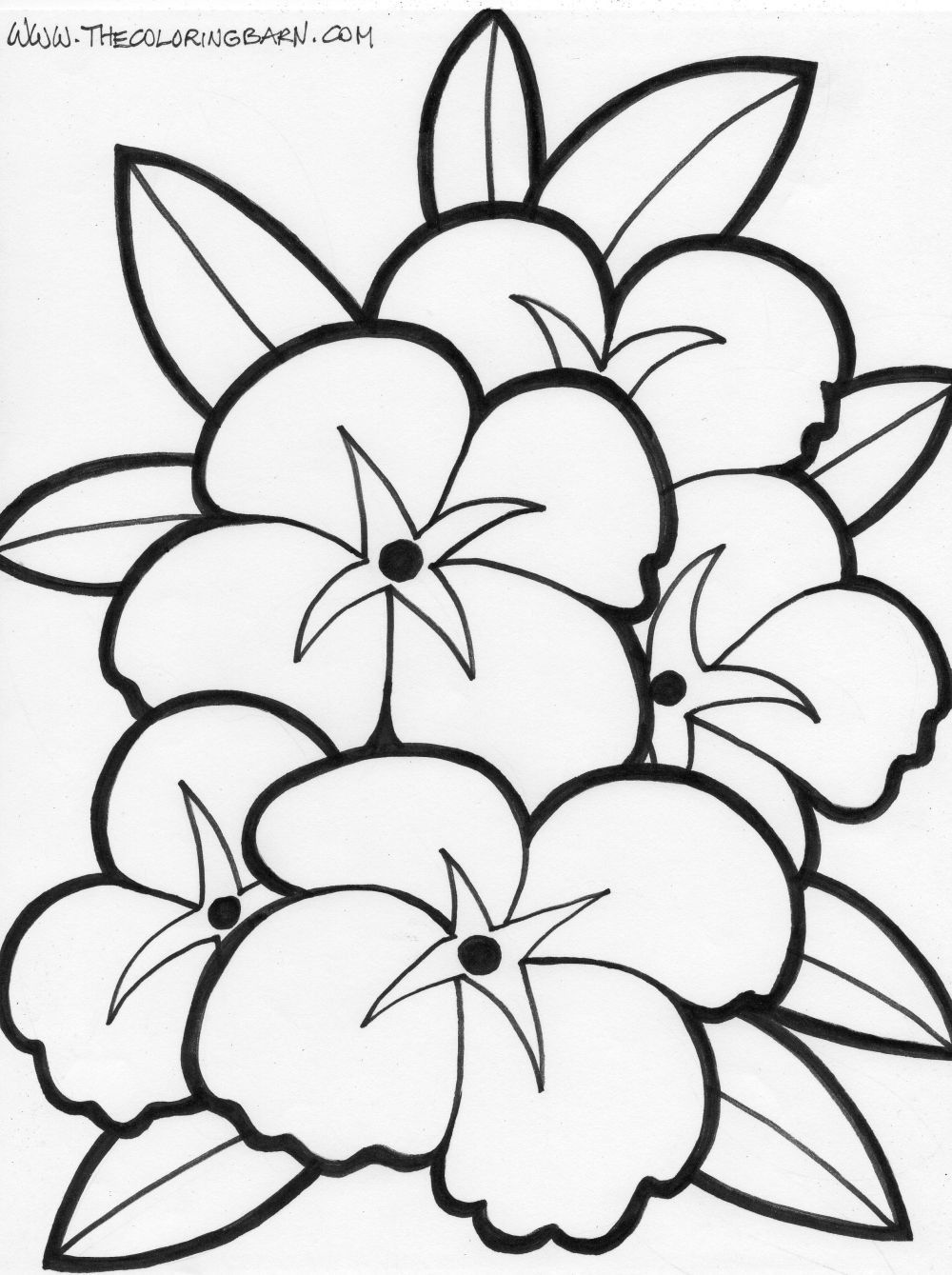 Large Flower Coloring Page - youngandtae.com | Printable flower coloring  pages, Hawaiian flower drawing, Flower coloring pages