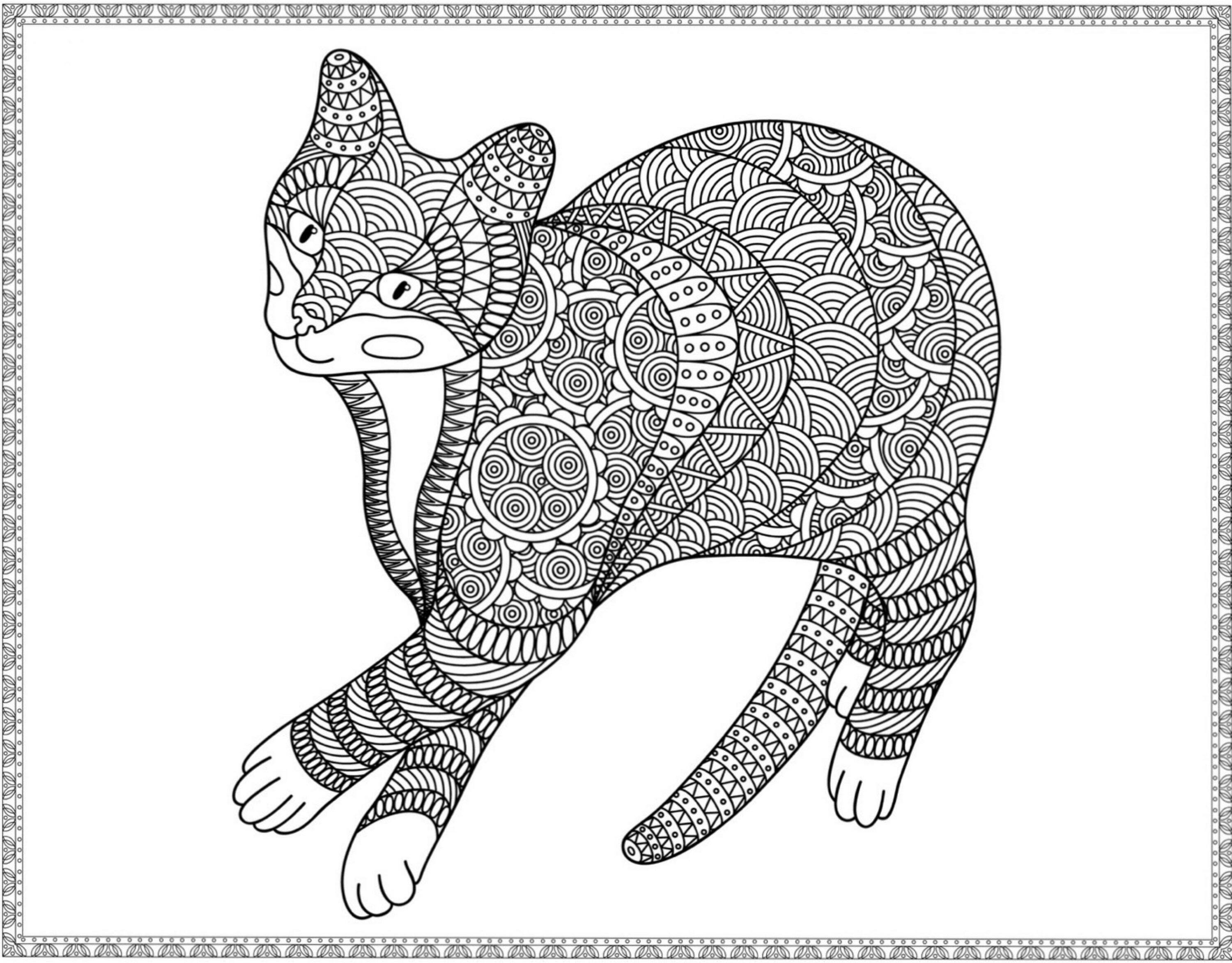 Cat Mindful Mandala Coloring - Etsy