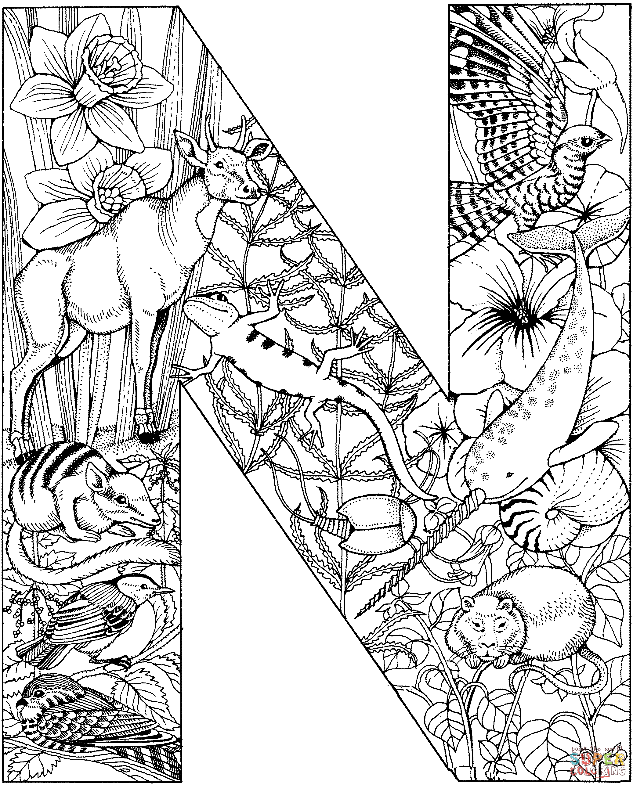 coloring-pages-for-letter-n-coloring-home