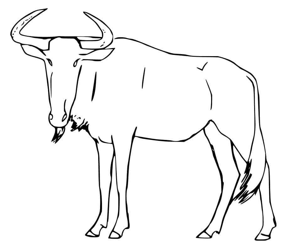 Printable Wildebeest Coloring Page - Free Printable Coloring Pages for Kids