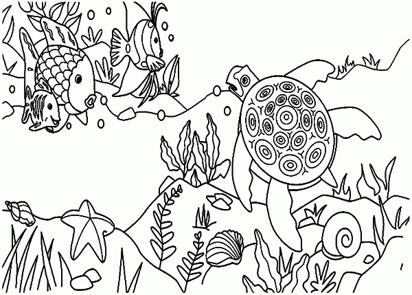 Ecosystem - Coloring Pages for Kids and for Adults