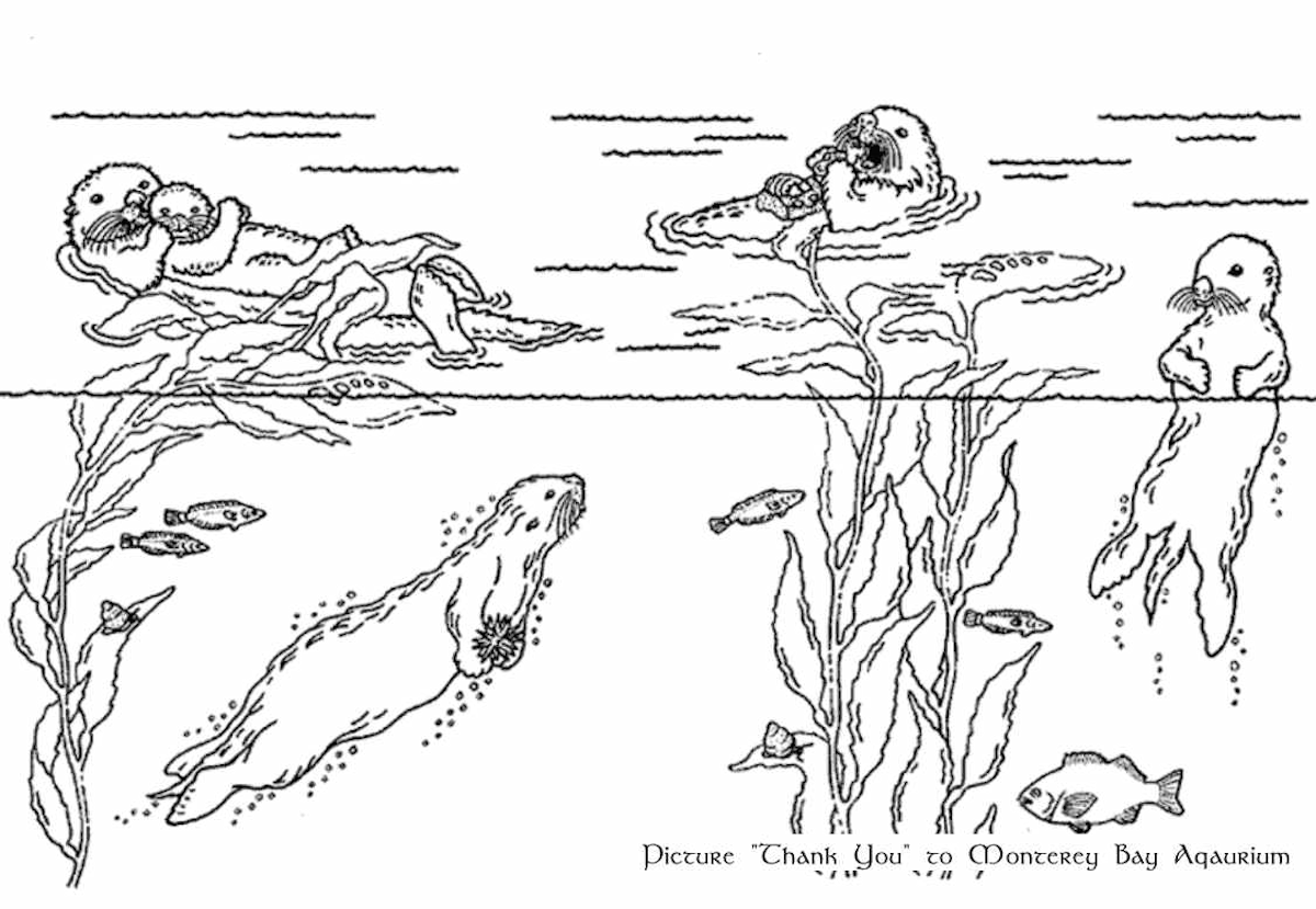 Otter coloring pages download and print for free
