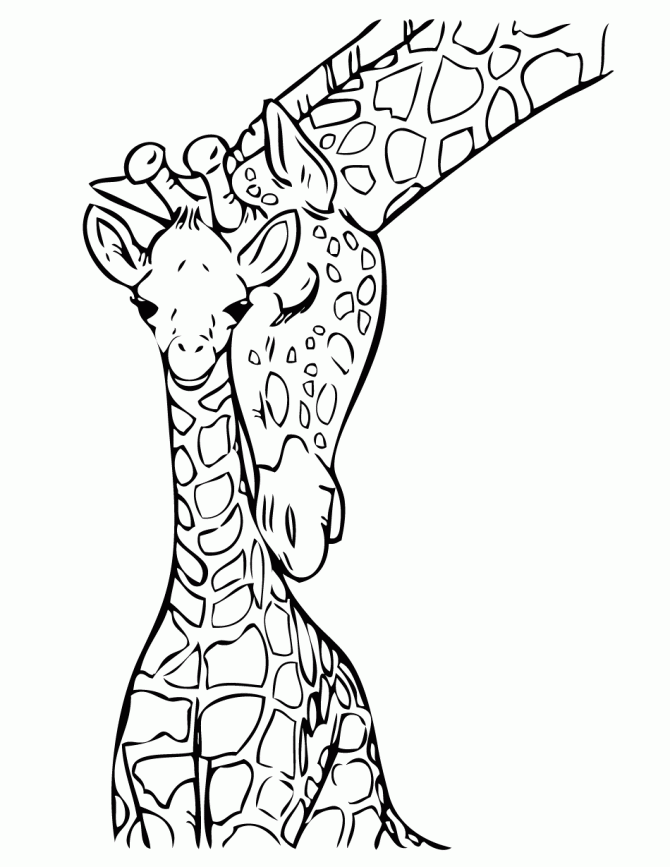 Download Cute Coloring Pages Of Giraffes - Coloring Home