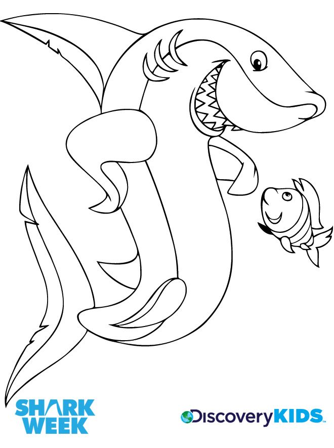 Shark & Friend Coloring Page | Discovery Kids