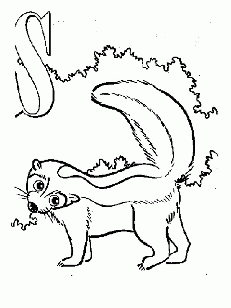 Realistic Skunk Coloring Pages | Coloring.Cosplaypic.com