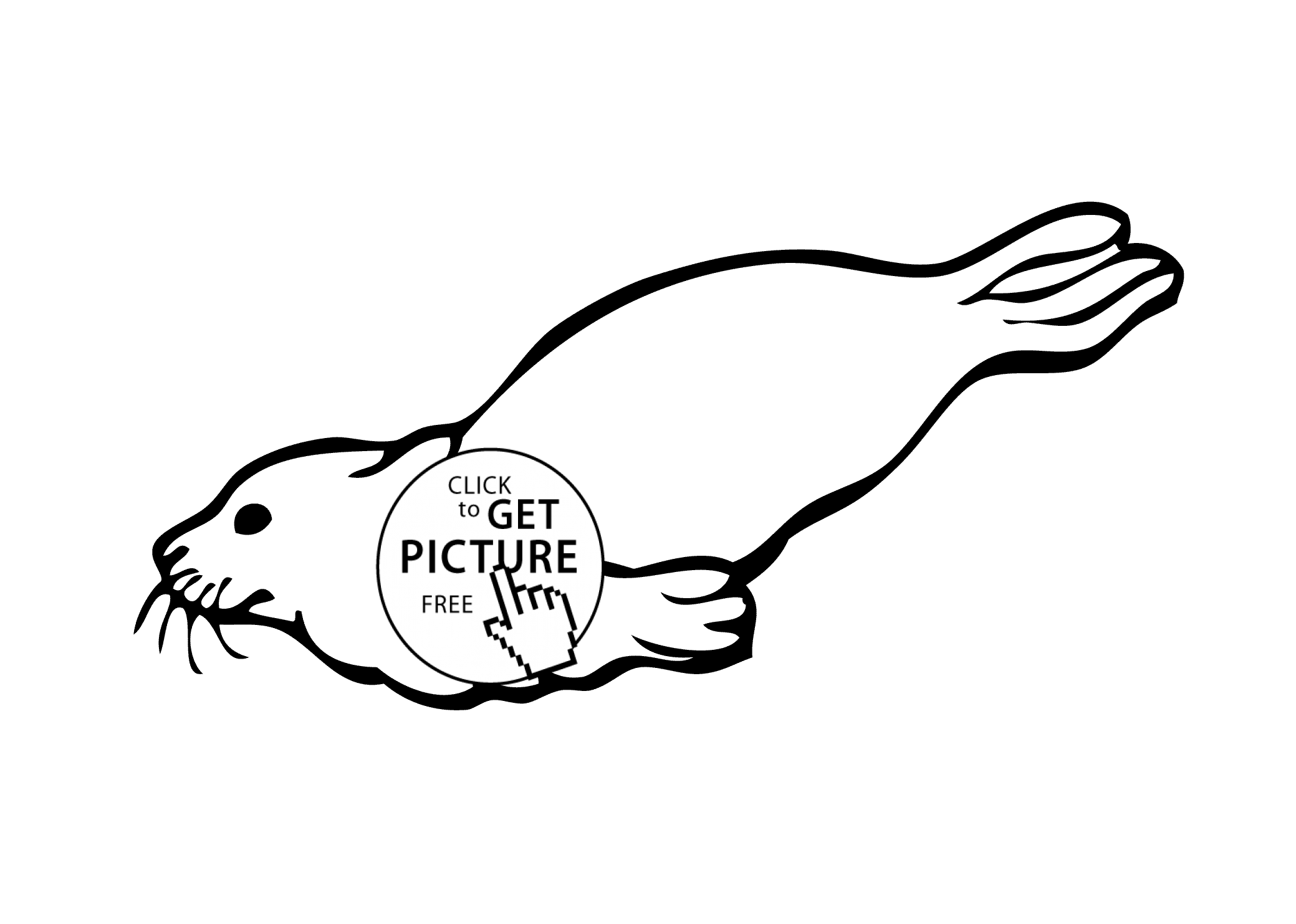 Nevada State Seal Coloring Page Baby Harp Seal Coloring Pages Coloring Home