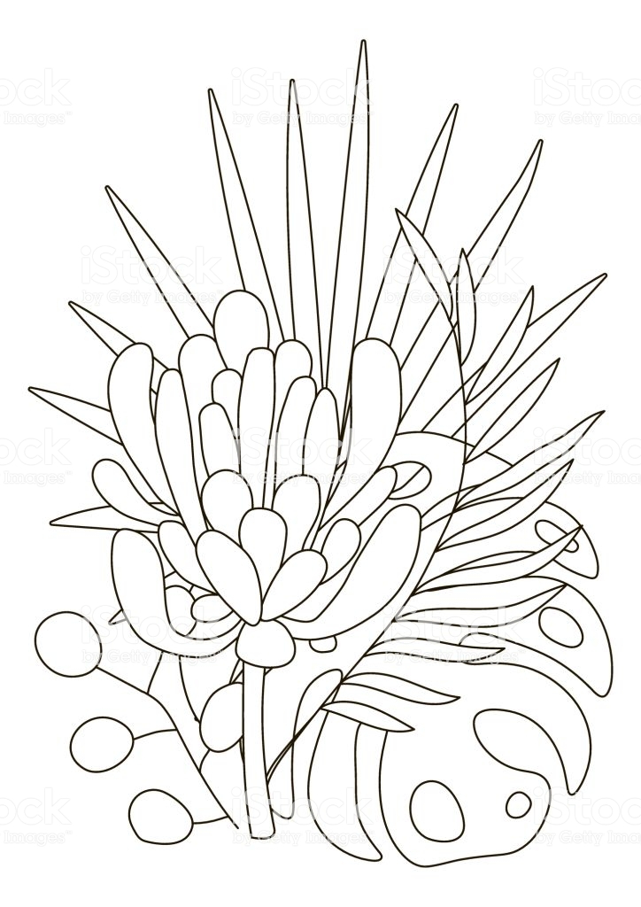 Hand Drawing Coloring Pages For Children And Adults Linear Style ...
