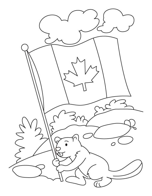 Happy beaver celebrating the Canada day coloring pages | Canada ...