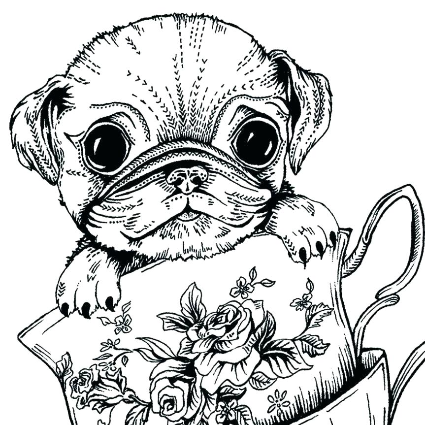 Baby Pug Coloring Pages at GetDrawings | Free download