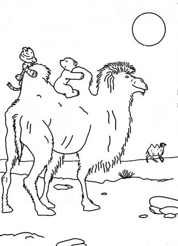 Lars the Little Polar Bear and Little Tiger Riding a Camel ...