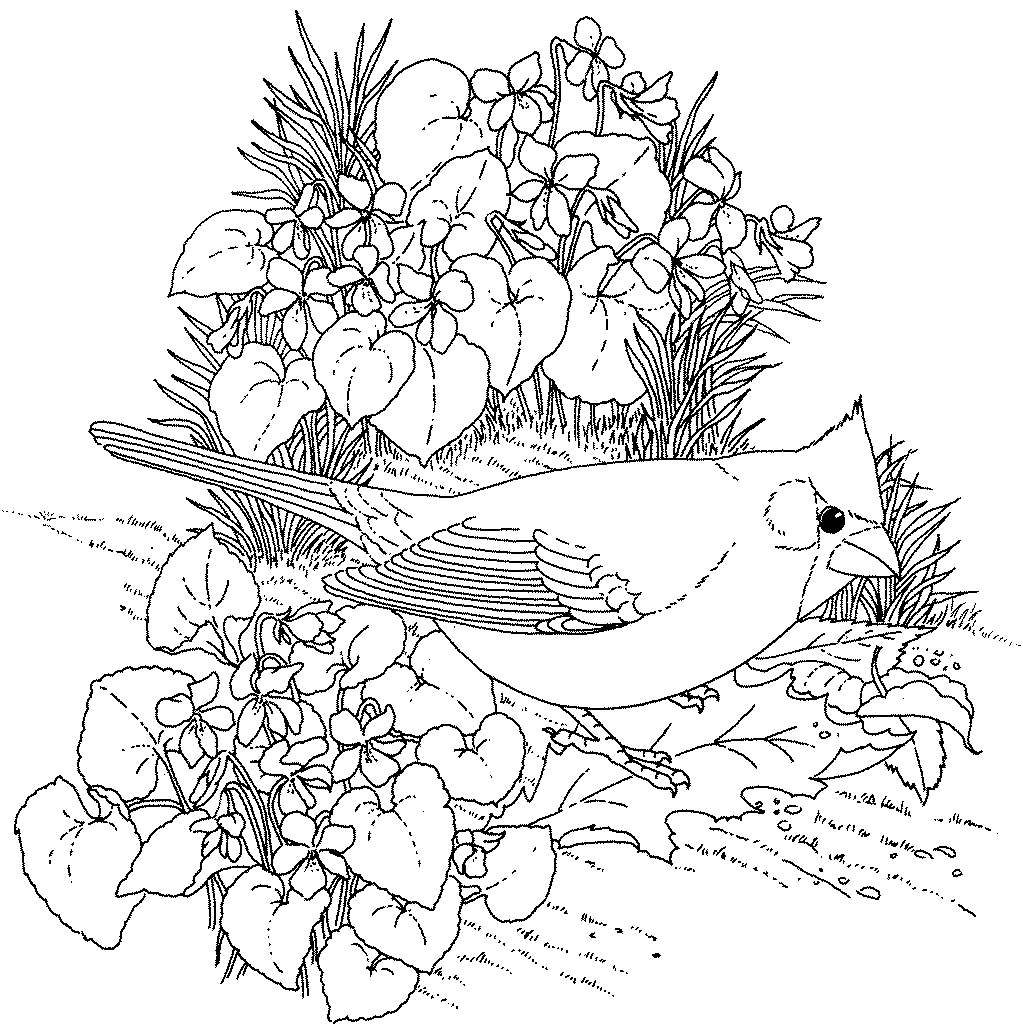 Intricate Flower Coloring Pages   Coloring Home