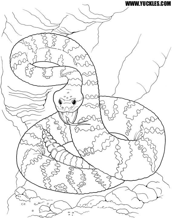 Rattlesnake Coloring Snake Animal Of Rattlesnakes English Games For Grade  Mathematics Coloring Pages Of Rattlesnakes Coloring Pages english games for  grade 2 easy addition color by number basic math skills test for