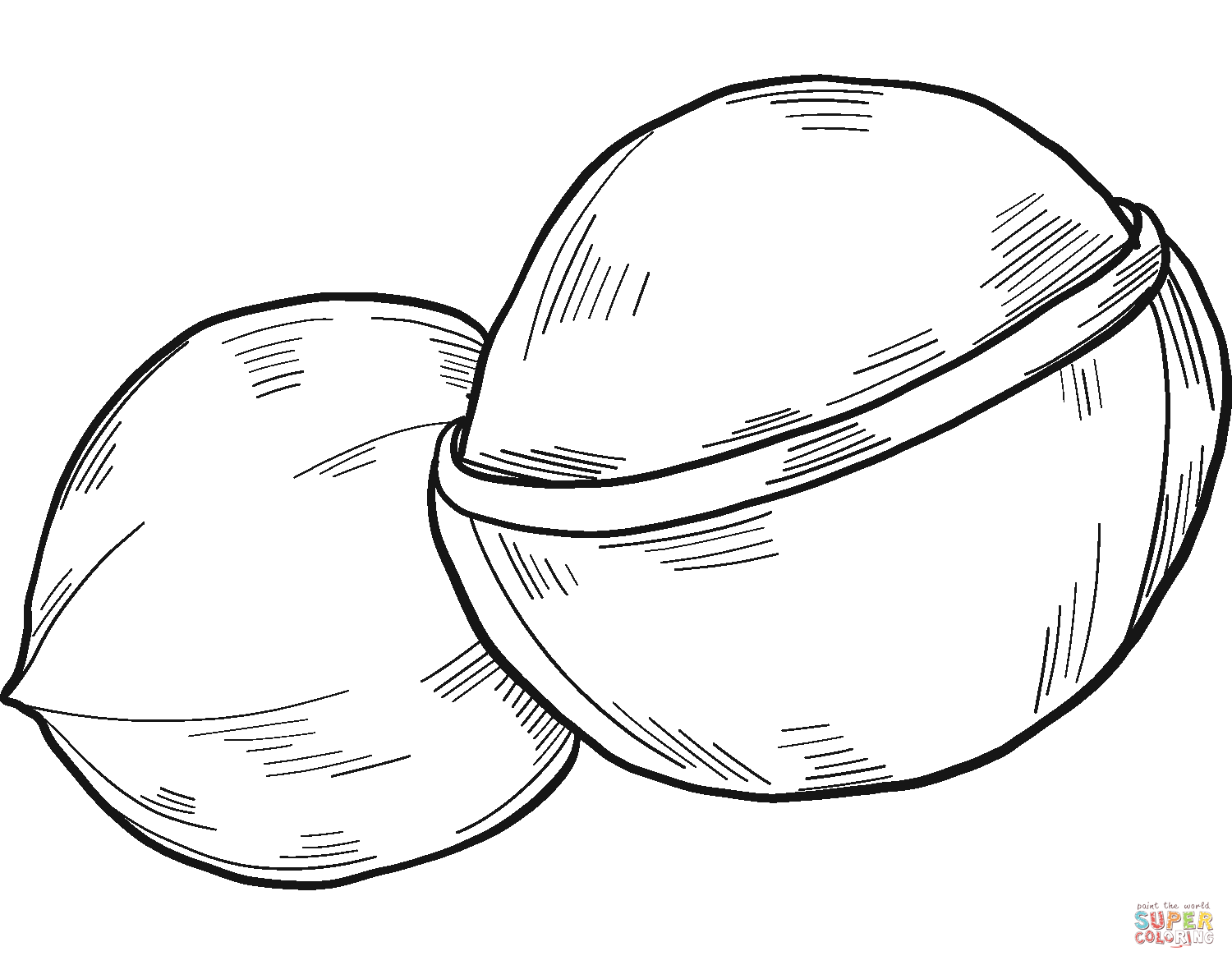 Nut Coloring Pages - Coloring Home