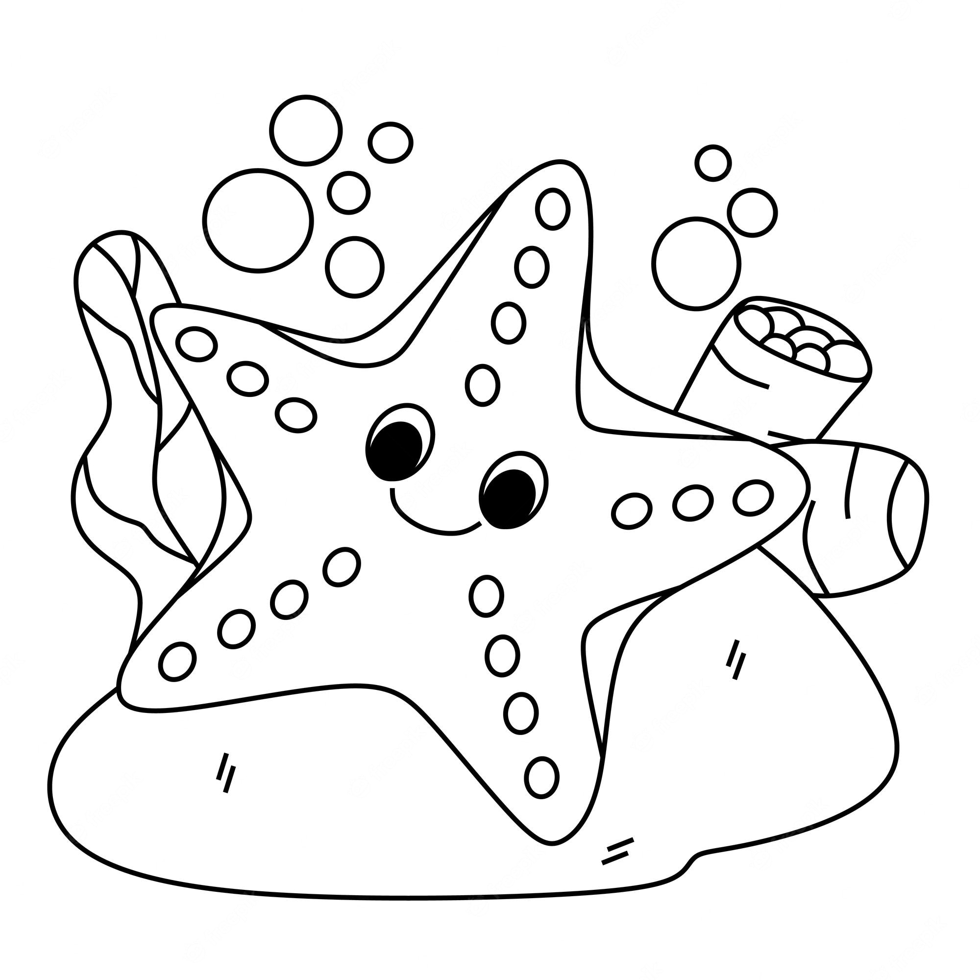 Starfish Colouring Pages