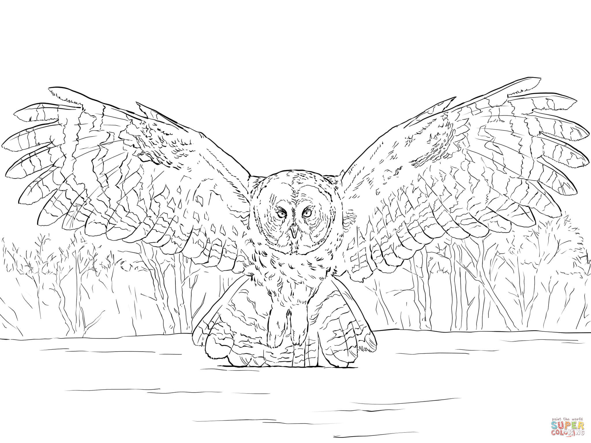 Great Grey Owl Flying coloring page | Free Printable Coloring Pages