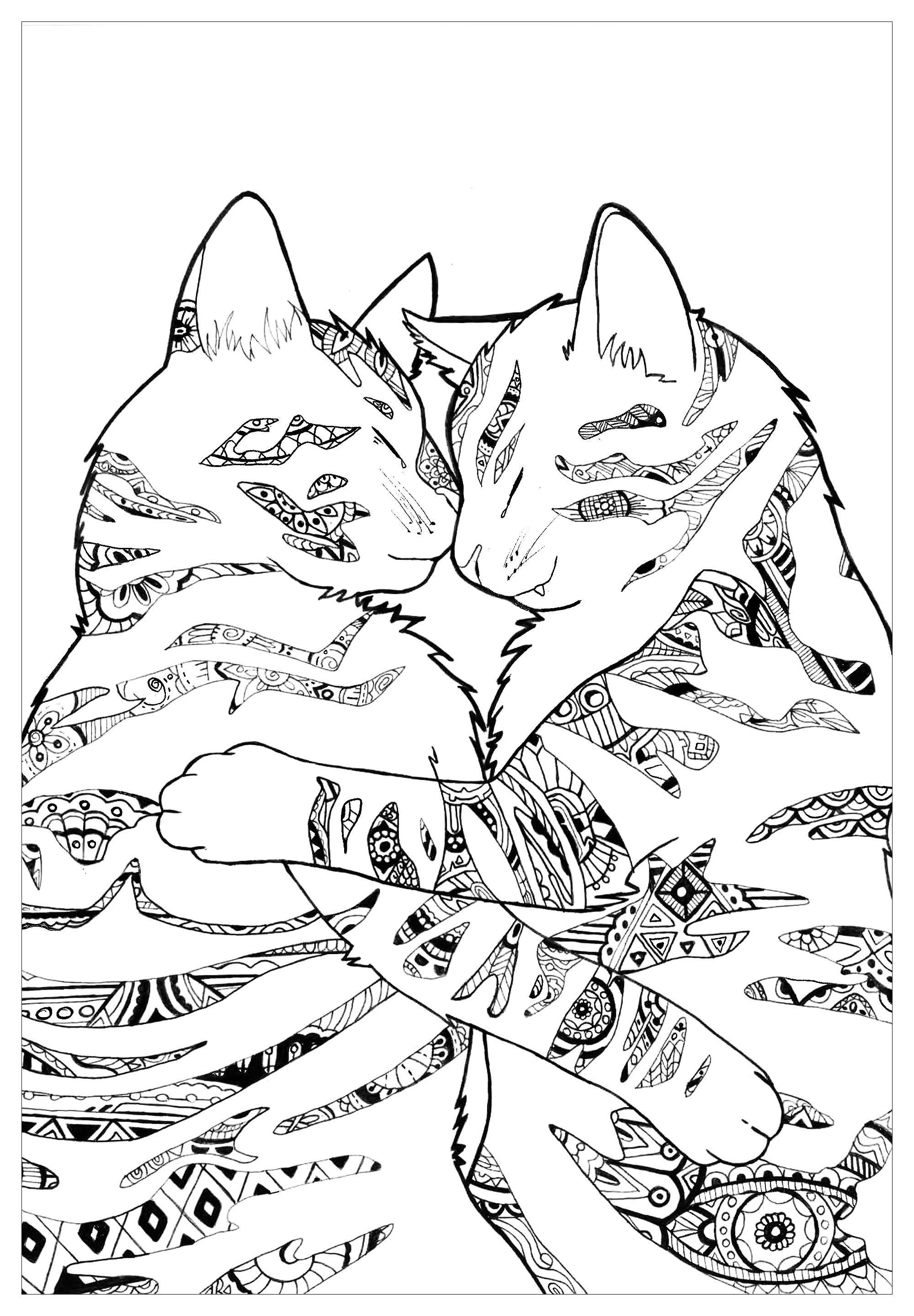 Cats by paulined - Cats Adult Coloring Pages