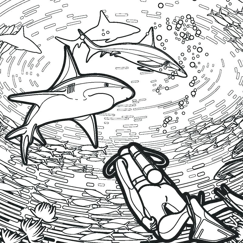 shark pictures to color – alfamag.info